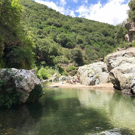 Ferula Romantica Mansarda Tra Fiumi E Montagne Sardegna Seùlo Εξωτερικό φωτογραφία