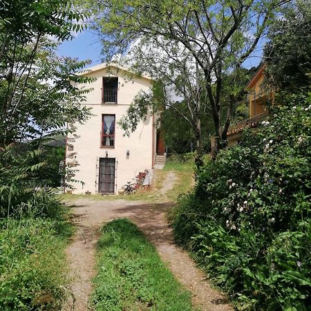 Ferula Romantica Mansarda Tra Fiumi E Montagne Sardegna Seùlo Εξωτερικό φωτογραφία