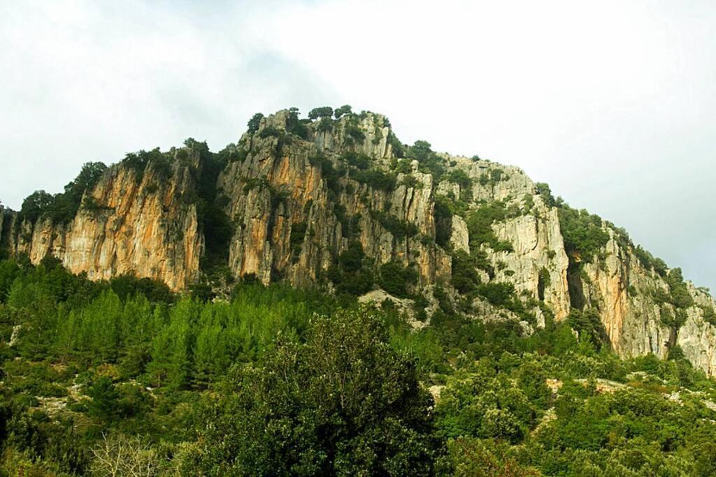 Ferula Romantica Mansarda Tra Fiumi E Montagne Sardegna Seùlo Εξωτερικό φωτογραφία