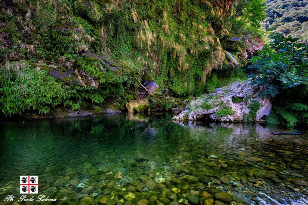 Ferula Romantica Mansarda Tra Fiumi E Montagne Sardegna Seùlo Εξωτερικό φωτογραφία