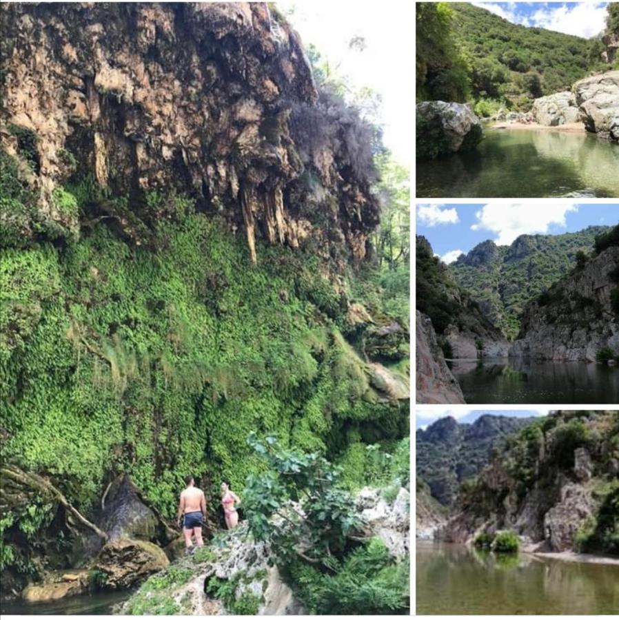 Ferula Romantica Mansarda Tra Fiumi E Montagne Sardegna Seùlo Εξωτερικό φωτογραφία