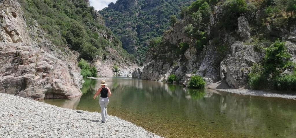 Ferula Romantica Mansarda Tra Fiumi E Montagne Sardegna Seùlo Εξωτερικό φωτογραφία